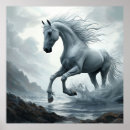 Search for white horse running posters Nature