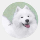 Search for samoyed stickers Puppy