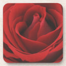 Search for affection coasters Beauty