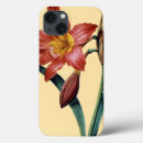 Search for amaryllis electronics Botany