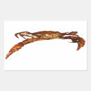 Search for maryland crabs stickers Maryland blue crab