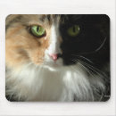 Search for cats eye mousepads Feline