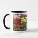 Search for netherland mugs Red