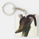 Search for fisher key rings Illustration