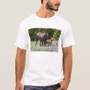 Search for ditto tshirts Wild