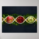 Search for biotech Genetic engineering