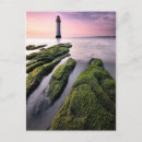 Search for perching postcards Vertical