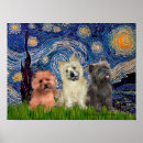 Search for cairn terrier posters Pets