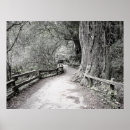 Search for wood fence posters Nature