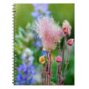 Search for chuck notebooks Montana