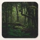 Search for tracks coasters Woods