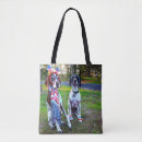 Search for fireworks bags Funny