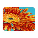 Search for floral rectangular magnets Botanical