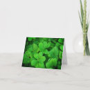 Search for shamrock thank you cards St patrick's day