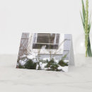 Search for cat in window christmas cards Winter