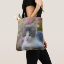 Search for bicolor accessories Pet