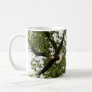 Search for eagle feathers mugs Wildlife
