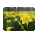 Search for horticultural magnets Paul thompson