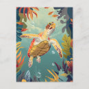 Search for sea turtle postcards Tortoise
