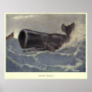 Search for sperm posters Whales