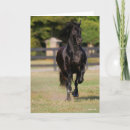Search for bob cards Friesian