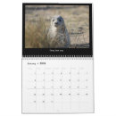 Search for seal calendars Birds