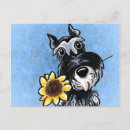 Search for sunflower lover postcards Cute
