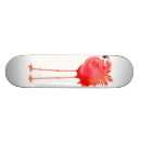 Search for flamingo skateboards Bird
