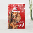 Search for irish setter christmas cards Setters