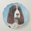 Search for english springer spaniel cushions Dog