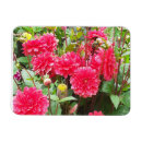 Search for flexible photo magnets Pink