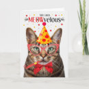 Search for tabby cat birthday cards Pets