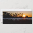 Search for marshland Wetlands
