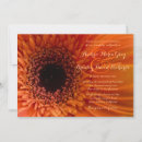 Search for gerbera daisy wedding invitations Fall