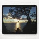 Search for door electronics Nature