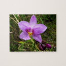 Search for orchid puzzles Photography