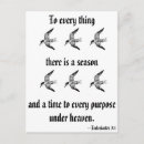 Search for 1 3 postcards Humour