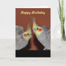 Search for cockatoo birthday cards Pet