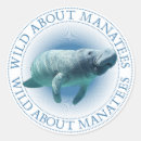 Search for sea cow stickers Mammal