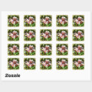 Search for frangipani stickers Flower