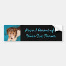 Search for fox bumper stickers Wire