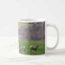 Search for grazing mugs Photography