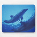 Search for cozumel mousepads Sea
