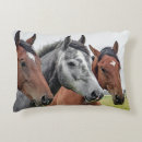 Search for horse cushions For horse lovers
