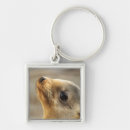 Search for sea lion key rings Mammal