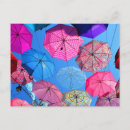 Search for colourful umbrella postcards Blue