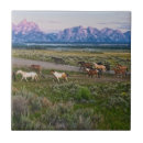 Search for horse tiles Landscape