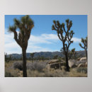 Search for mojave posters Landscape