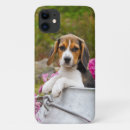 Search for cute beagle iphone cases Puppy