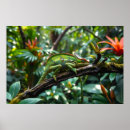 Search for lush posters Green